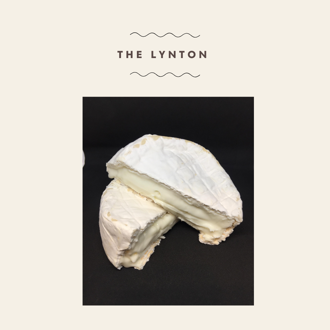Lynton